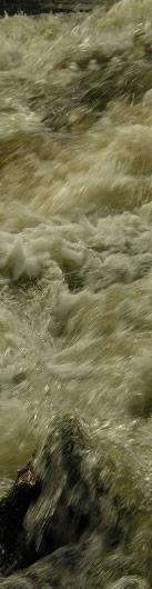 Reflection on the River Dart at Staverton, Devon, April 2009