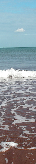 Waves at Teignmouth, Devon, March 2008