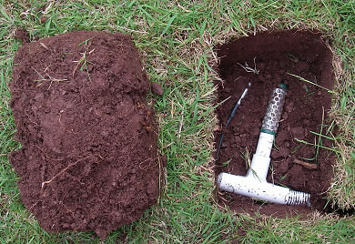 Davis Soil Moisture 6440 and Temperature 6470 probes installed at a depth of 10cm